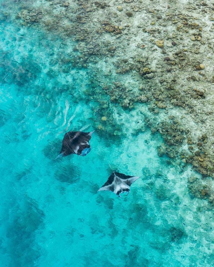 Iru Maldives Thulusdhoo Exterior foto